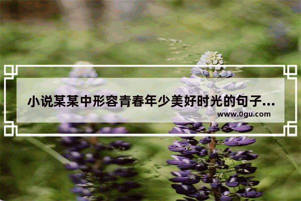 小说某某中形容青春年少美好时光的句子,你是我年少的喜欢的句子