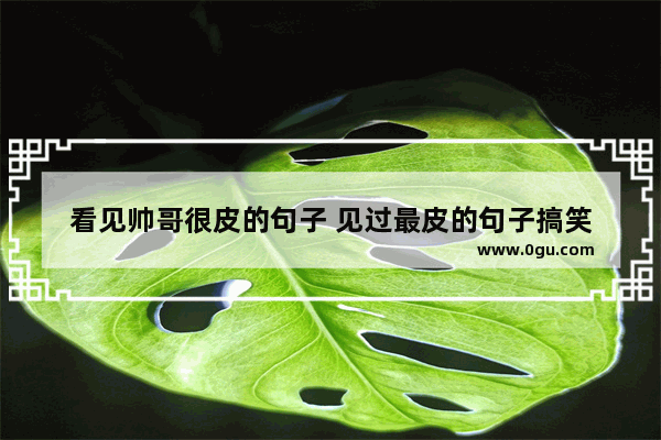 看见帅哥很皮的句子 见过最皮的句子搞笑