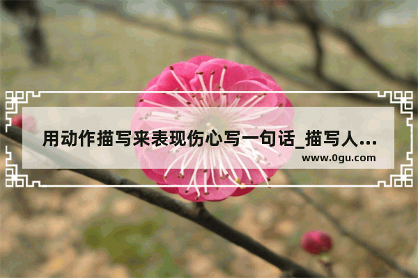 用动作描写来表现伤心写一句话_描写人物高兴、害怕、犹豫不决、伤心、担心的词语、句子 词语20个 句子10句