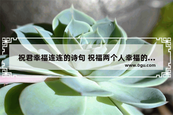 祝君幸福连连的诗句 祝福两个人幸福的句子诗句