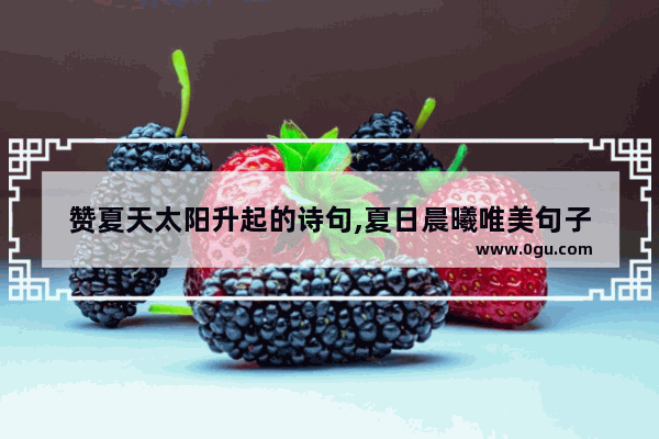 赞夏天太阳升起的诗句,夏日晨曦唯美句子