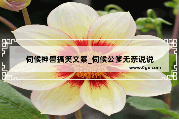 伺候神兽搞笑文案_伺候公爹无奈说说