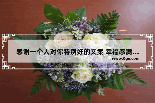感谢一个人对你特别好的文案 幸福感满满感恩有你的句子