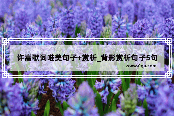 许嵩歌词唯美句子+赏析_背影赏析句子5句