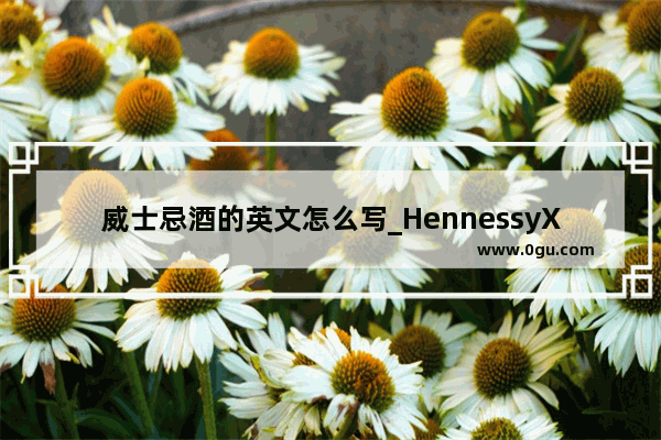 威士忌酒的英文怎么写_HennessyX.O什么意思