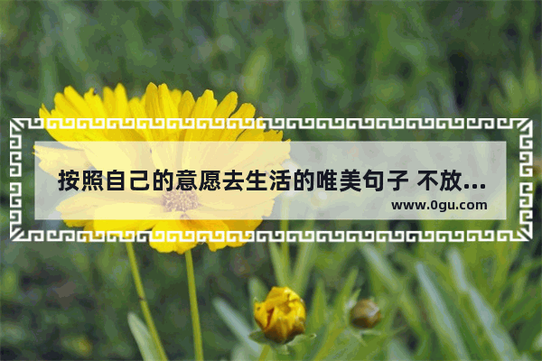 按照自己的意愿去生活的唯美句子 不放弃积极生活的句子