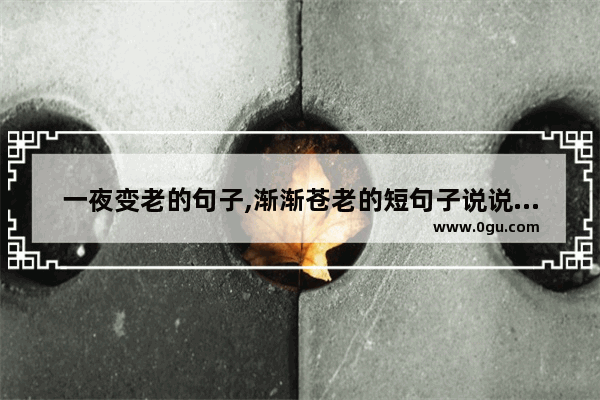 一夜变老的句子,渐渐苍老的短句子说说心情