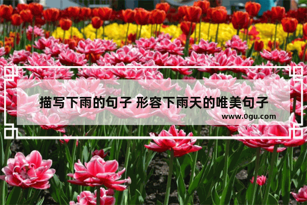描写下雨的句子 形容下雨天的唯美句子