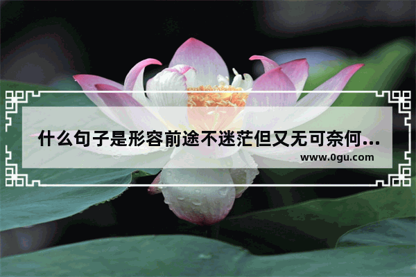 什么句子是形容前途不迷茫但又无可奈何的 无奈励志唯美句子