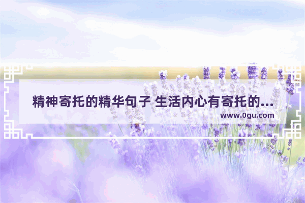 精神寄托的精华句子 生活内心有寄托的句子