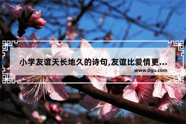 小学友谊天长地久的诗句,友谊比爱情更深的句子说说