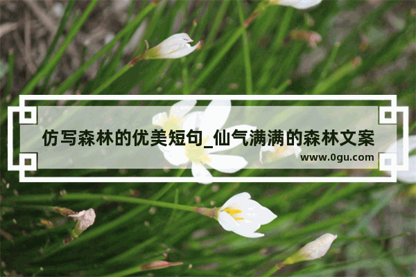 仿写森林的优美短句_仙气满满的森林文案