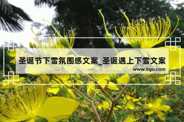 圣诞节下雪氛围感文案_圣诞遇上下雪文案