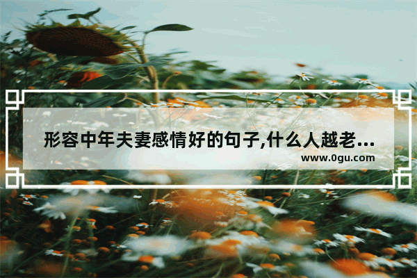 形容中年夫妻感情好的句子,什么人越老越幸福的句子