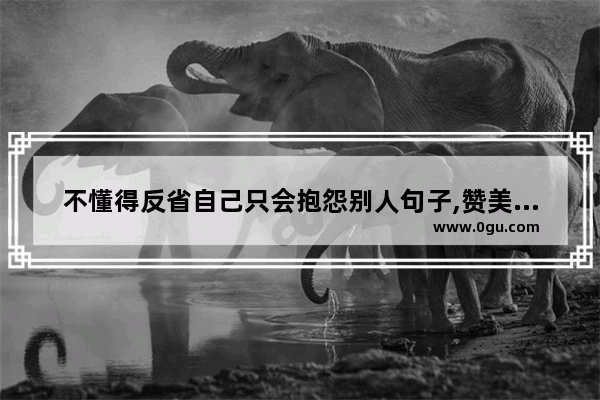 不懂得反省自己只会抱怨别人句子,赞美过错人生的话语句子
