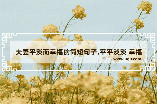 夫妻平淡而幸福的简短句子,平平淡淡 幸福美满的句子