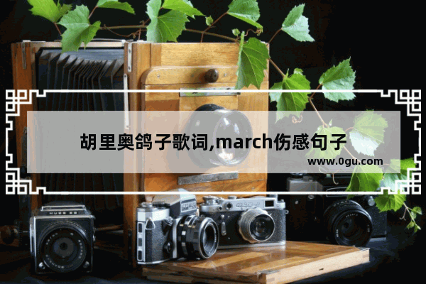 胡里奥鸽子歌词,march伤感句子