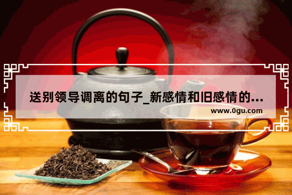 送别领导调离的句子_新感情和旧感情的句子