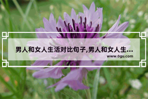 男人和女人生活对比句子,男人和女人生活对比句子