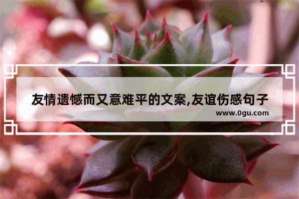 友情遗憾而又意难平的文案,友谊伤感句子