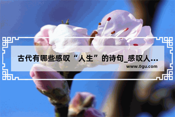 古代有哪些感叹“人生”的诗句_感叹人生结局悲惨的古诗