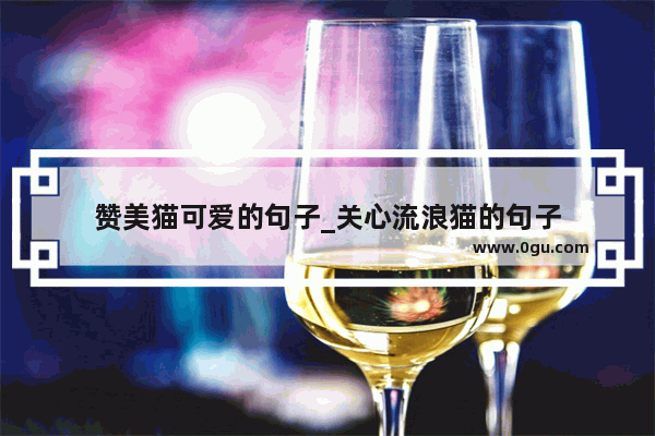 赞美猫可爱的句子_关心流浪猫的句子