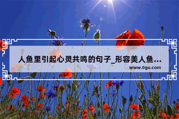 人鱼里引起心灵共鸣的句子_形容美人鱼的句子