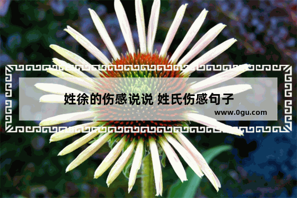 姓徐的伤感说说 姓氏伤感句子