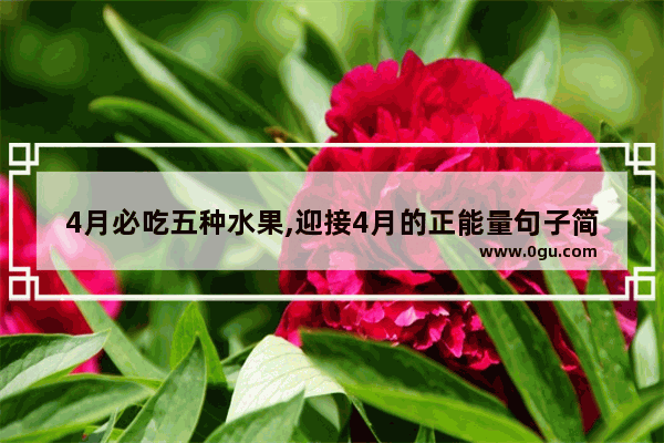 4月必吃五种水果,迎接4月的正能量句子简短