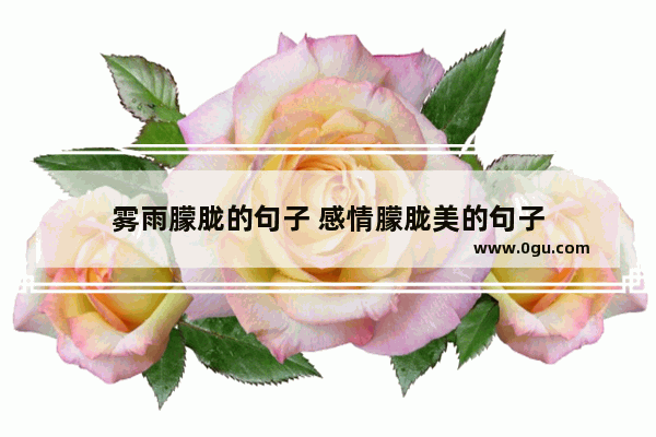 雾雨朦胧的句子 感情朦胧美的句子
