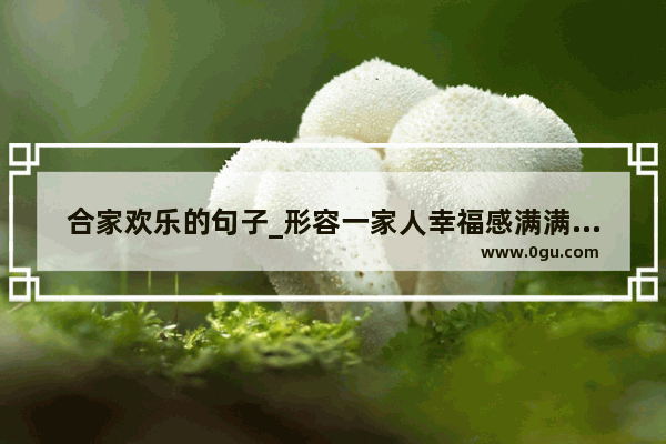 合家欢乐的句子_形容一家人幸福感满满的句子
