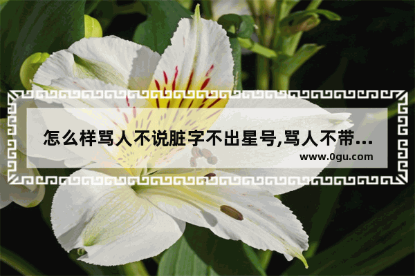 怎么样骂人不说脏字不出星号,骂人不带唯美句子