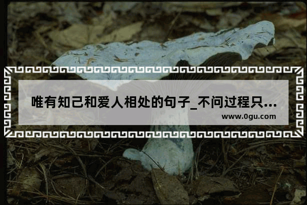 唯有知己和爱人相处的句子_不问过程只求结果的句子