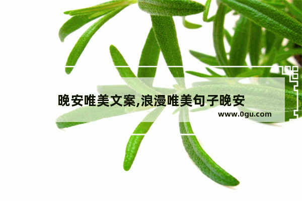 晚安唯美文案,浪漫唯美句子晚安