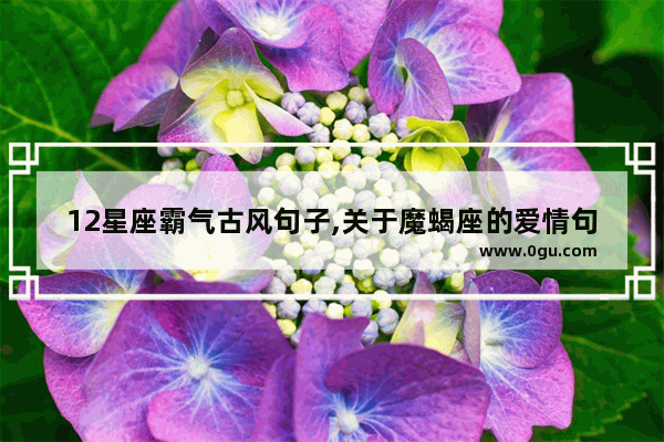 12星座霸气古风句子,关于魔蝎座的爱情句子