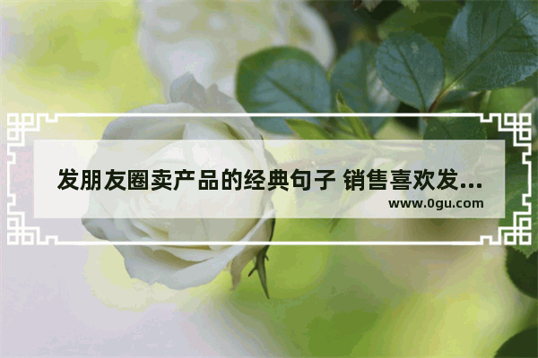 发朋友圈卖产品的经典句子 销售喜欢发朋友圈的句子