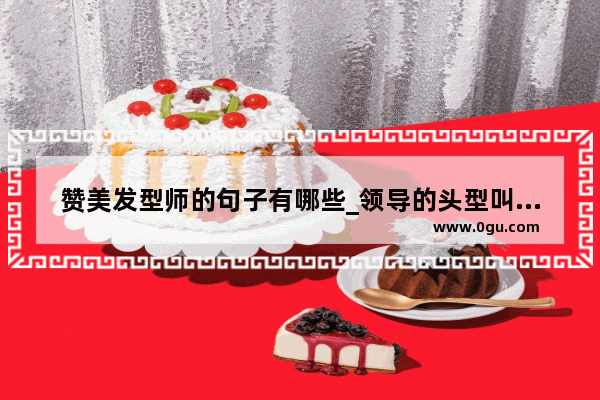 赞美发型师的句子有哪些_领导的头型叫什么头