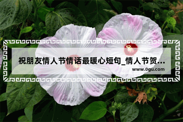 祝朋友情人节情话最暖心短句_情人节贺卡简短情话含蓄