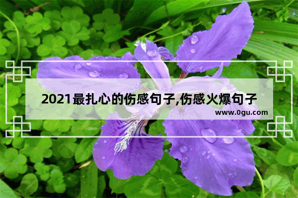 2021最扎心的伤感句子,伤感火爆句子
