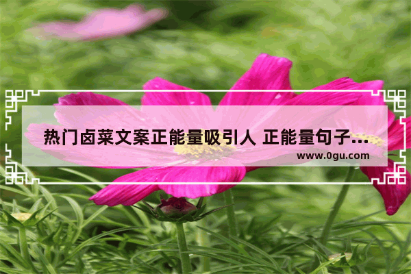 热门卤菜文案正能量吸引人 正能量句子能吸引人什么