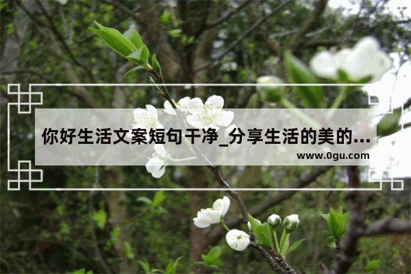 你好生活文案短句干净_分享生活的美的句子简短