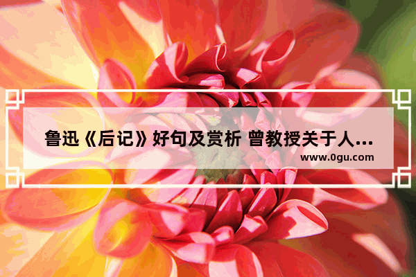 鲁迅《后记》好句及赏析 曾教授关于人生感悟的句子