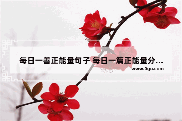 每日一善正能量句子 每日一篇正能量分享句子