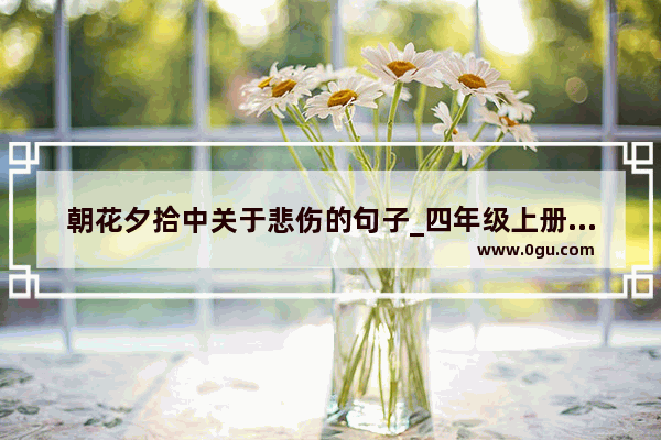 朝花夕拾中关于悲伤的句子_四年级上册语文伤心句子