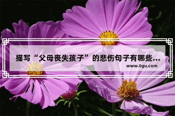 描写“父母丧失孩子”的悲伤句子有哪些,被主人抛弃后的心情句子