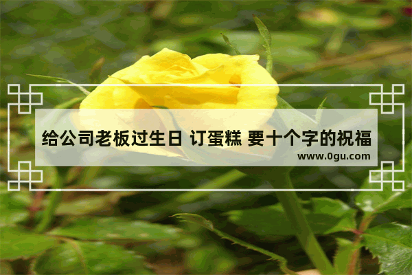 给公司老板过生日 订蛋糕 要十个字的祝福语 祝老板生意好的正能量句子