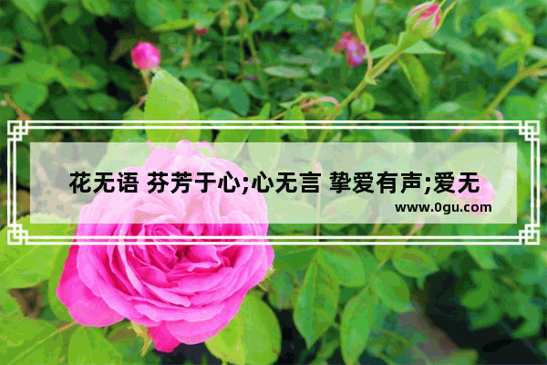 花无语 芬芳于心;心无言 挚爱有声;爱无悔 坦然如斯。这句话是什么意思,人生爱情不留遗憾的句子