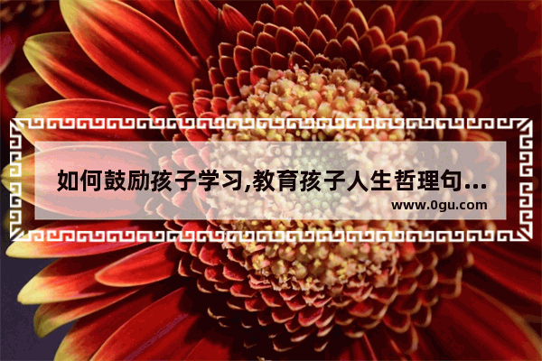 如何鼓励孩子学习,教育孩子人生哲理句子大全