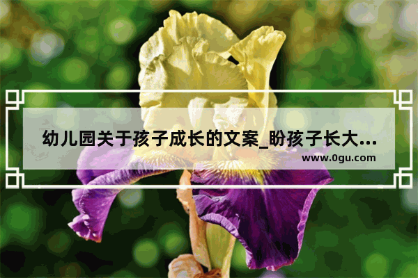 幼儿园关于孩子成长的文案_盼孩子长大的经典语录