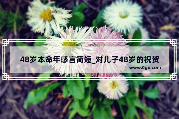 48岁本命年感言简短_对儿子48岁的祝贺词